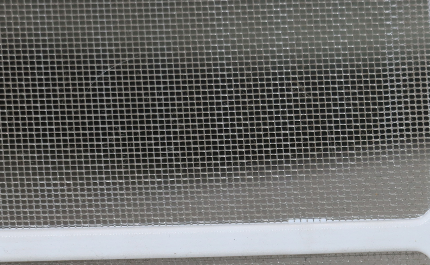 ������������Ч����