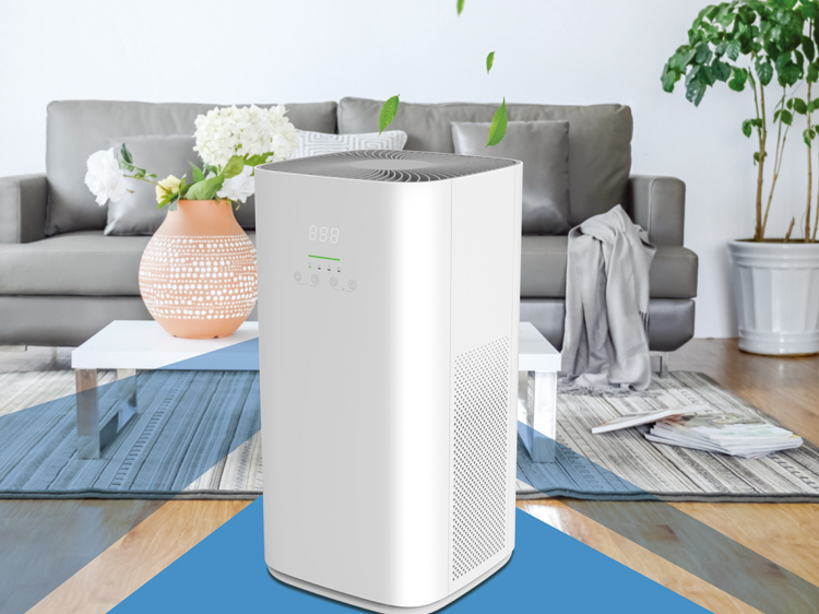 ���ƿ���������